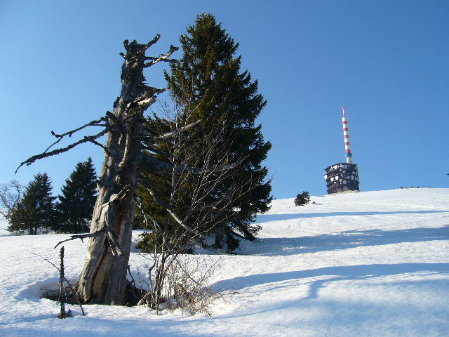 chasseral m 15